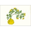 Carte Yellow Bouquet Yusuke Yonezu