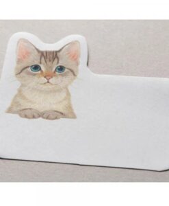 Sticky Notes Chaton
